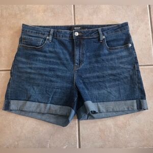 Hudson Roll Cuff 4.5 High Rise Denim Shorts